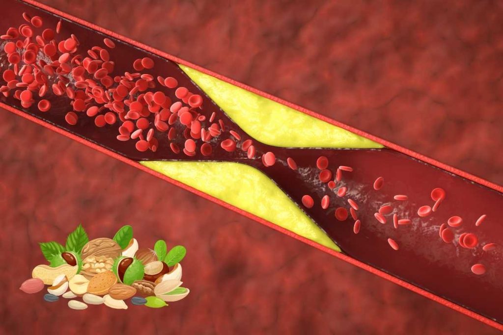 combien de noix par jour pour le cholestérol