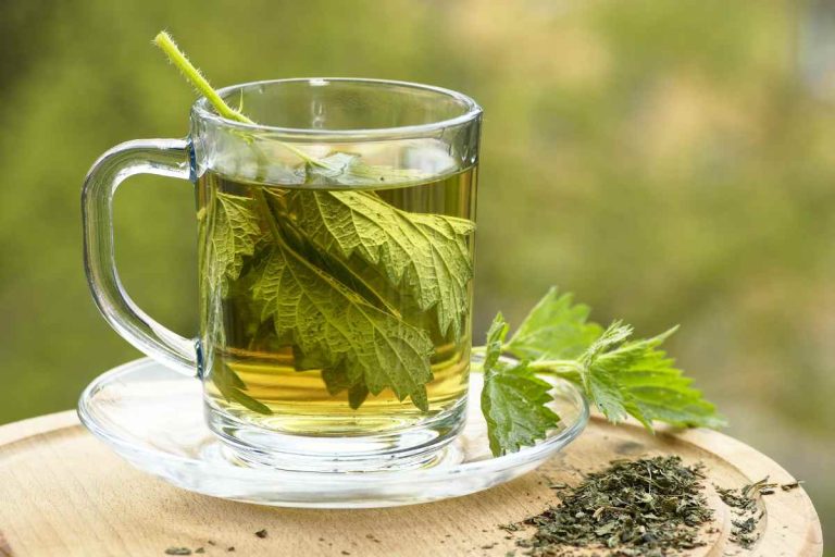 Top 5 des meilleures boissons pour nettoyer sa vessie [2024]
