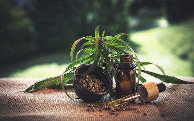 Qui ne doit pas prendre de CBD ?