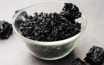 Quand prendre le shilajit ?