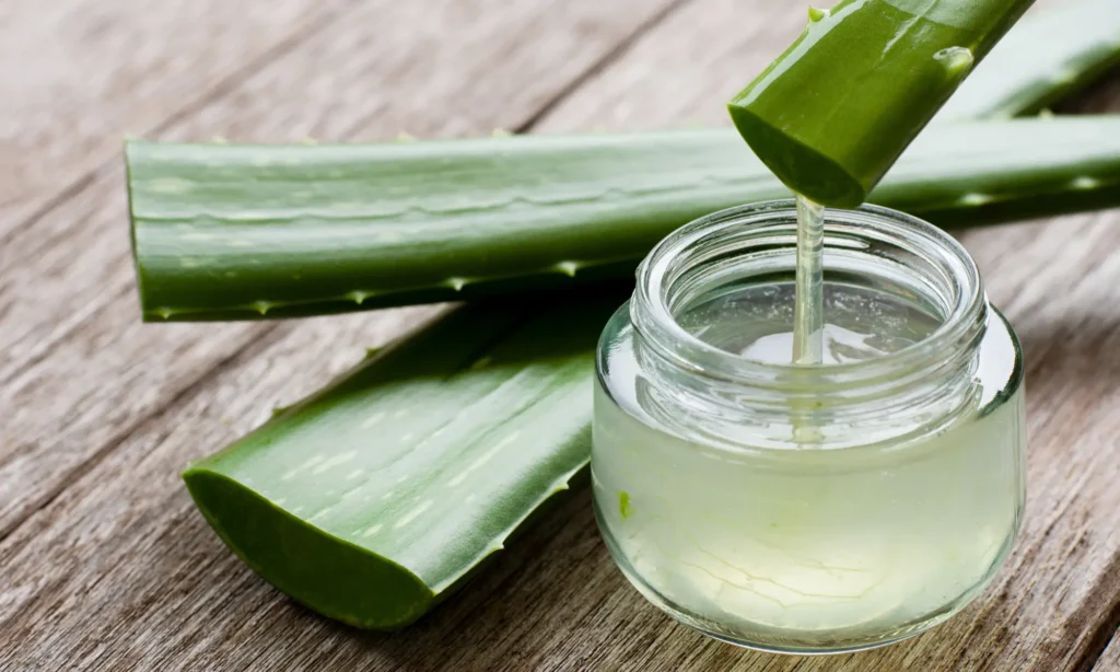 L'aloe vera un apaisant naturel